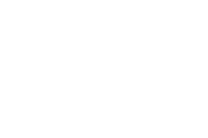 Boss-logo