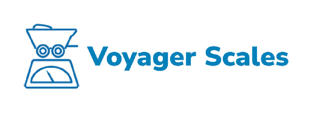 voyager scales from Michaels Group